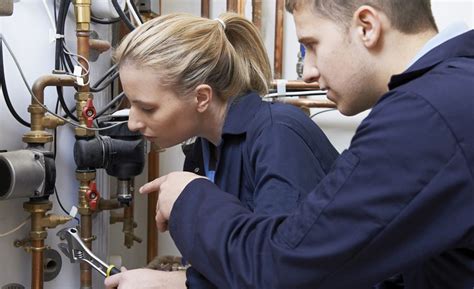 Plumber apprentice jobs near me - 247 Plumber Apprentice jobs available in Michigan on Indeed.com. Apply to Apprentice Plumber, Plumber, Pipefitter and more! 